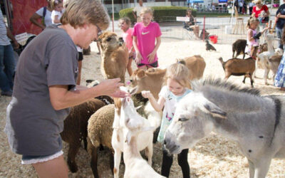 NEW! Miller’s Petting Zoo